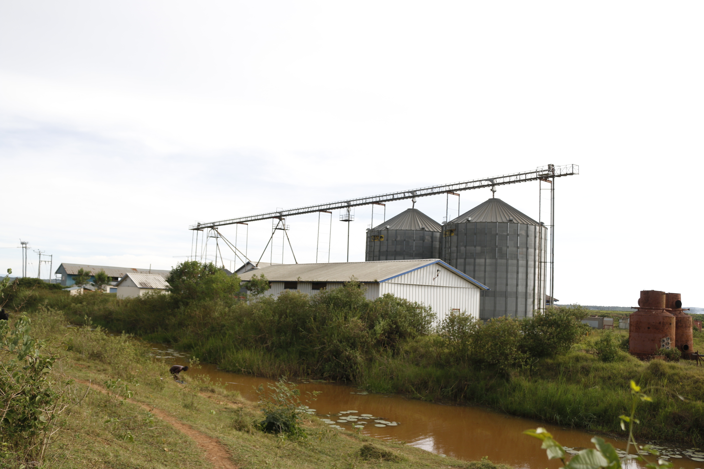 These rice silos have since stopped being used