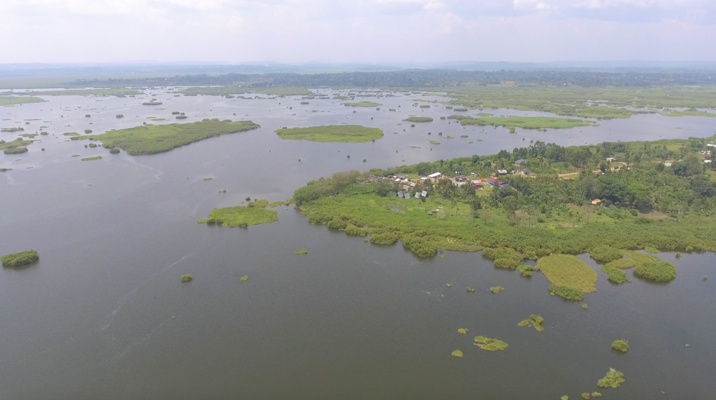 Shrinking Lakes