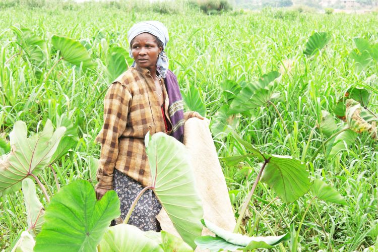 farmer in field 750x500 1