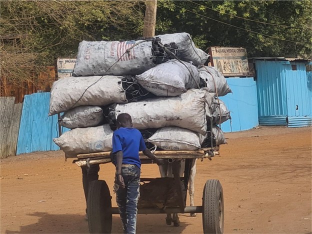 Infonile pic1.jpg. Caption Boy pushes a donkey cart full of sacks of charcoal in Malakal town