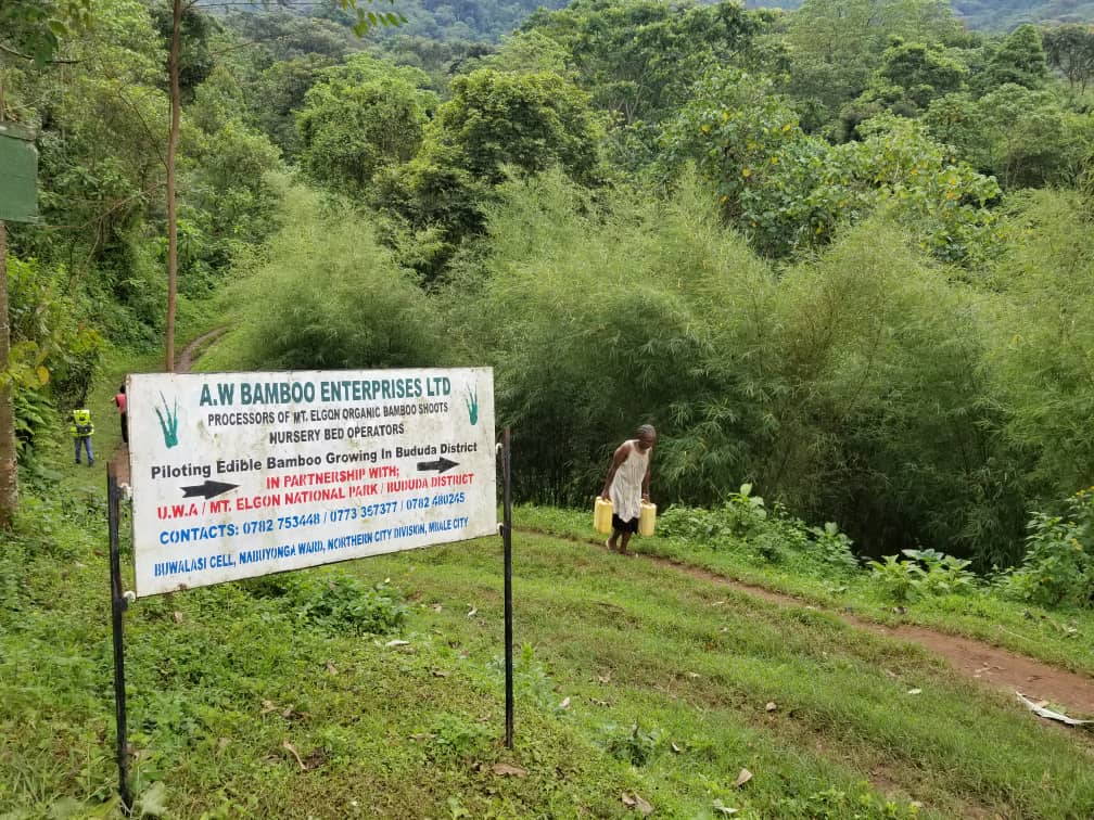 Landslides have always affected the groundwater system making locals like Beatrice Nambale to trek long distances on the slopes and steeps of Mt. Elgon for water. Photo By Javier Silas Omagor