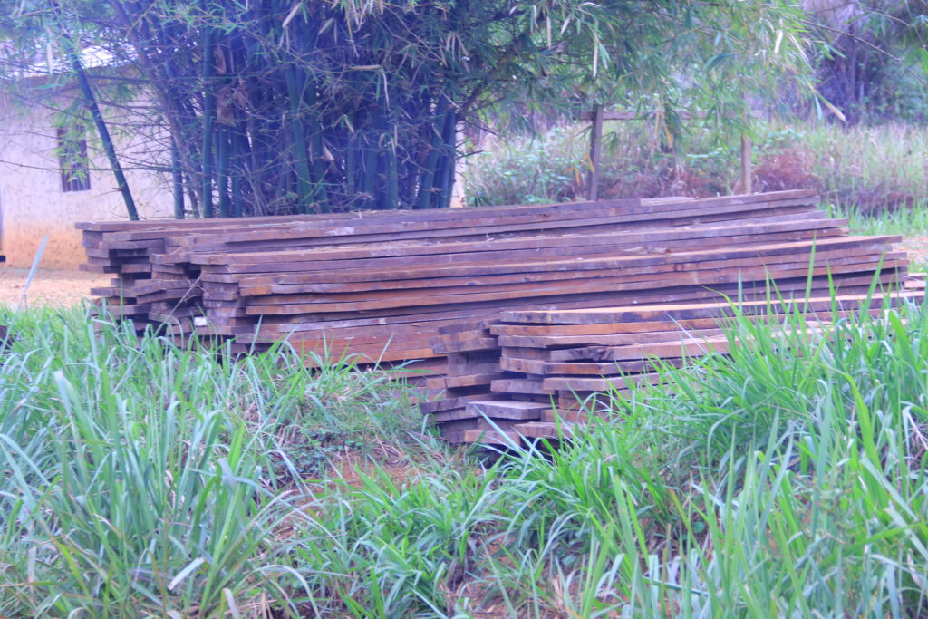 timber files drc uganda