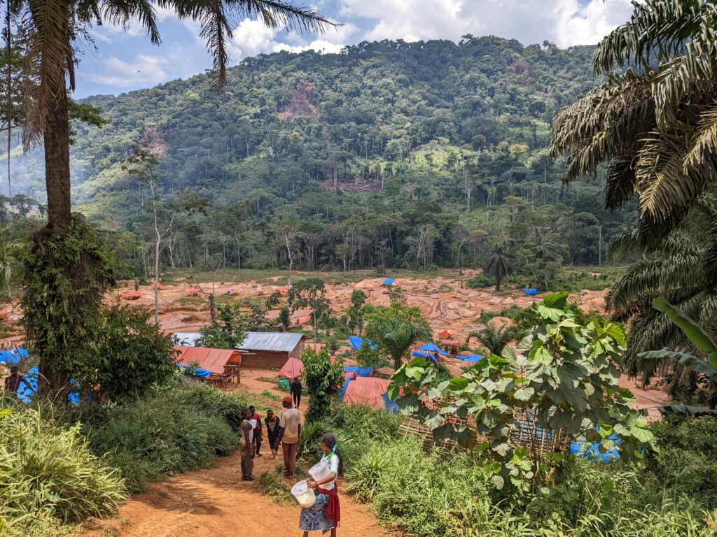 village left desolate drc uganda timber
