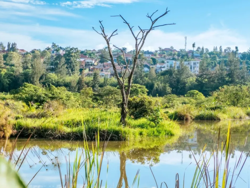 How Nature is Reclaiming its Place Across the Rwandan Capital